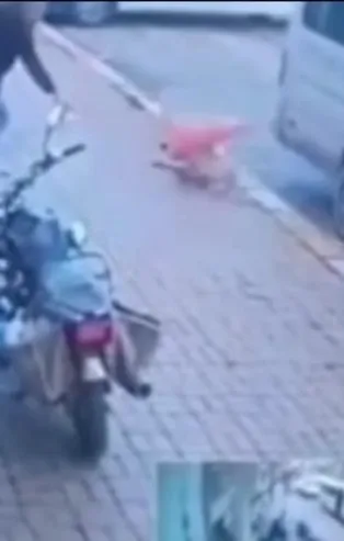 Köpeğin başına gelmeyen kalmadı! Minibüs ezdi sonra dubayla vurdular