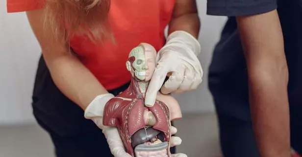 Sizi içerden öldüren sessiz tehlike! Bilim insanları uyardı