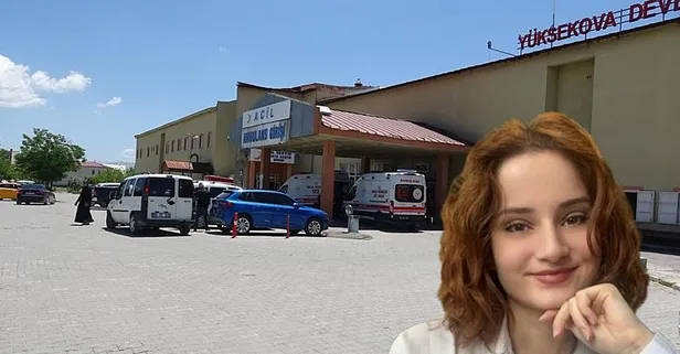 Yüksekova'da kan donduran olay! Biri kadın 2 kişinin cansız bedeni bulundu