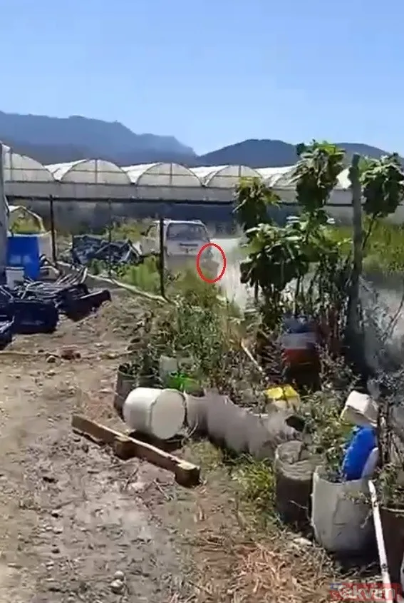 Akıllara durgunluk veren olay! Köpeğine zarar veren adamı otomobile bağlayıp metrelerce sürükledi | Bakan açıkladı: Şüpheli tutuklandı - 7