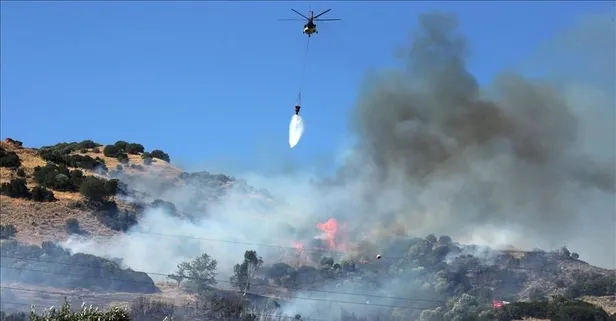 Aydın'da zeytinlik alanda çıkan yangına ilişkin baba ve oğlu gözaltına alındı