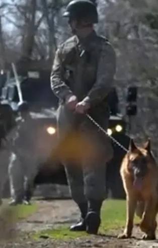 Teröre geçit yok! Bakanlık açıkladı: 7'si sınırda yakalandı