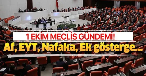 1 Ekim Meclis gündemi! Af, Nafaka ve EYT çıkacak mı?