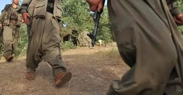 Son dakika: Van’da 1 terörist yakalandı