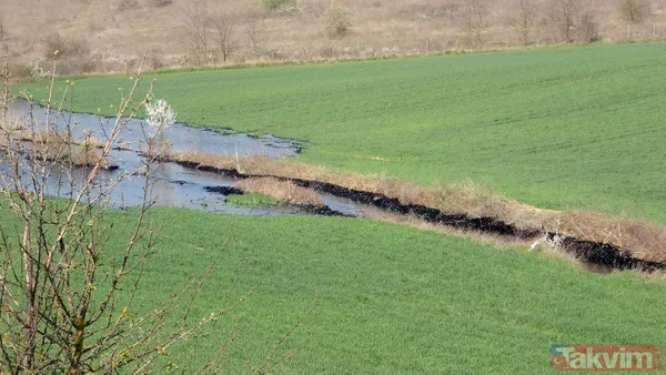 Edirne'de çevre katliamı! Tonlarca fuel oil 30 dekar alana ve dere yatağına yayıldı - 19