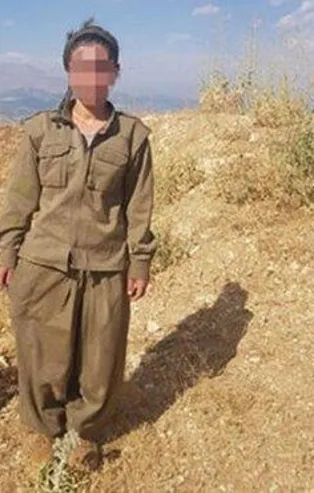 Van'da 2 kadın terörist ikna edilerek teslim oldu