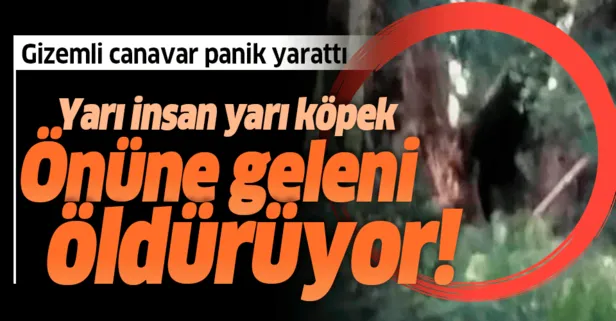 dogman adi verilen gizemli canavar abd