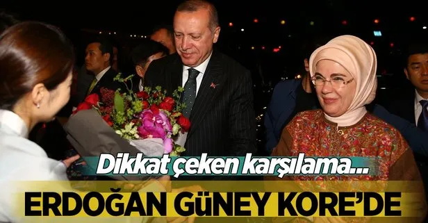 Erdoğan Güney Korede