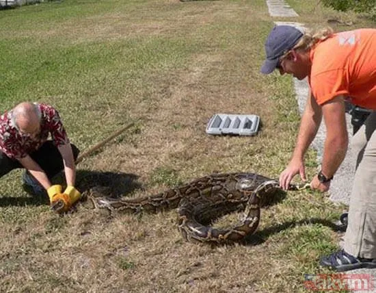 Duvarın içinden gelen seslerden ilallah etti sonunda paramparça etti! Gördükleri karşısında kalbi yerinden çıkacaktı - 35