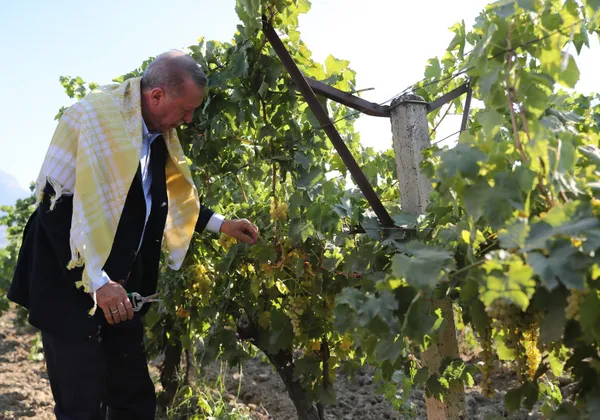 son-dakika-baskan-recep-tayyip-erdogandan-manisada-toplu-acilis-toreninde-onemli-aciklamalar-9-numara-sultani-1661009607248.jpg SON DAKİKA: Başkan Recep Tayyip Erdoğan'dan Manisa'da Toplu Açılış Töreni'nde önemli açıklamalar! 9 numara Sultani çekirdeksiz üzüm alım fiyatını açıkladı-6