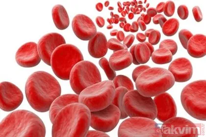 Bilim insanları uyarıyor! Besinleri kan grubunuza göre tüketin... Hangi kan grubu ne yemeli?