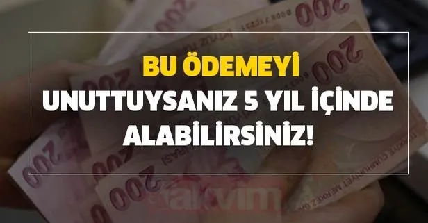 Bu ödemeyi unuttuysanız 5 yıl içinde alabilirsiniz! Yüzlerce lira ödeniyor