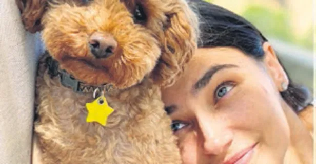 Kaju’ya büyük ödül