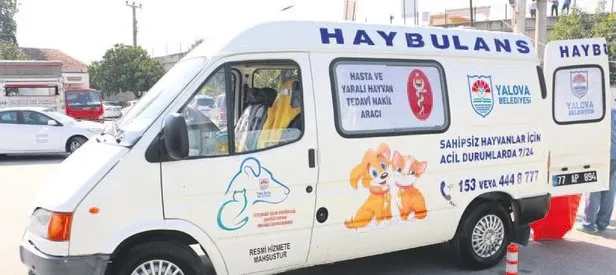 Haybulans hizmette
