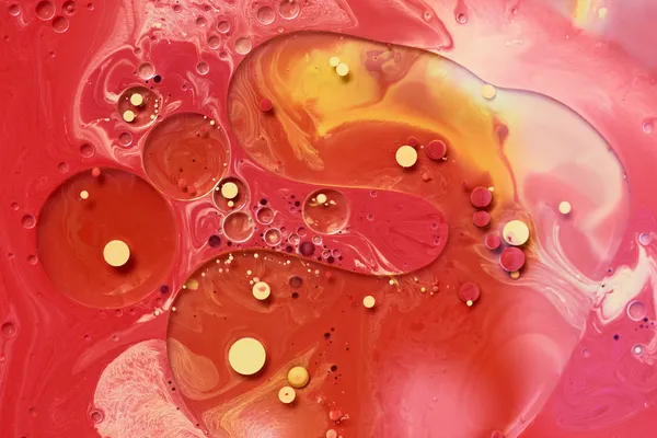 Beyin yiyen amip nasıl bulaşıyor? Koronavirüsten sonra yeni kabus o illerde görüldü!-3