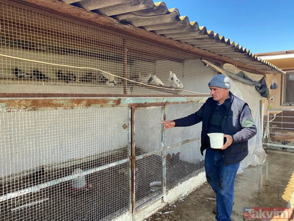 Tanesi 7 TL'ye yumurta! Yere atıldığında bile kolay kolay kırılmıyor - 1