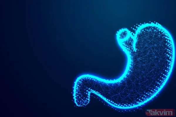 Doğal Ozempic etkisi: Chia tohumu beyindeki iştah reseptörlerine bağlanarak açlık hissini durduruyor - 7