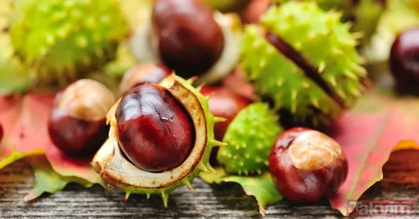 Mucizevi at kestanesi ile tüm hastalıklara savaş açın! Her derde şifa! Ağrıları bıçak gibi kesiyor! - 7