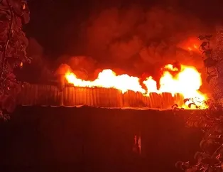 Bursa’da korkutan yangın!