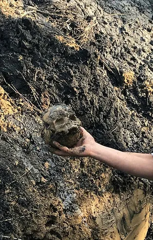 Aydın'da korkunç olay! Su borusu patlayınca ortaya çıktı! Okul bahçesinde kafatası ve kemik parçaları