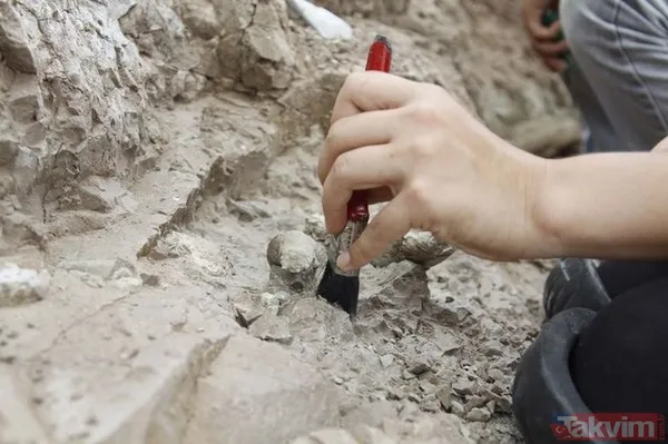 Çankırı'da 8,5 milyon yıllık fosil bulundu! - 15