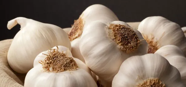 Soğuk ilacı sarımsak