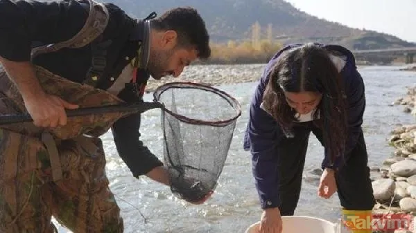 Leonardo DiCaprio’nun Türkiye paylaşımı heyecan yarattı! 47 yıl sonra ortaya çıktı: Batman Bantlı Çöpçü Balığı - 4