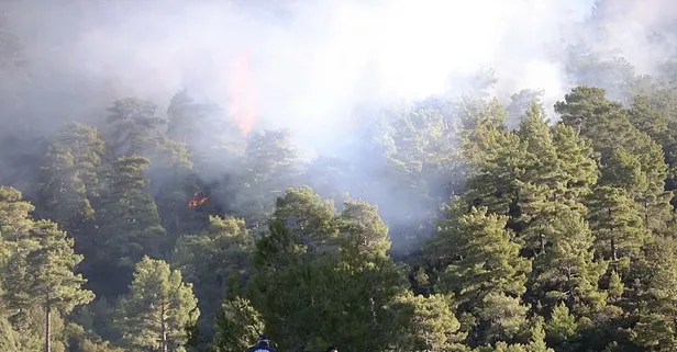 Muğla alevlere teslim oldu! Söndürme çalışmaları aralıksız devam ediyor