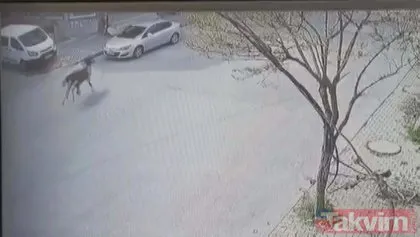 İstanbul Arnavutköy’de inanılmaz olay! Otomobilin sahibi güvenlik kamerasını izleyince gözlerine inanamadı