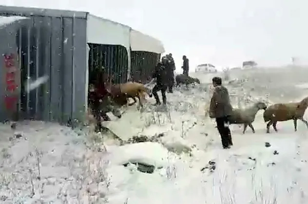 Sivas'ta feci olay! Gören oraya koştu...