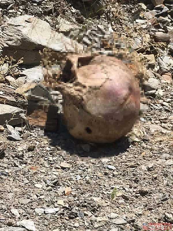 Mehmet Tural kaybında sıcak gelişme! Müge Anlı'da açığa çıkan cinayet: Kenan Yılmaz tüm detaylarıyla canlı yayında itiraf etti! - 12