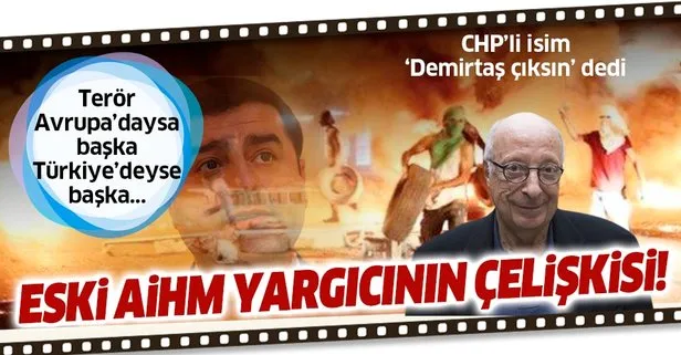 Terör Avrupa’daysa başka Türkiye’deyse başka! Eski AİHM yargıcı ve 24. dönem CHP Milletvekili Rıza Türmen’in çelişkisi...