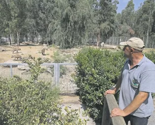 Sırtlan Şerafettin