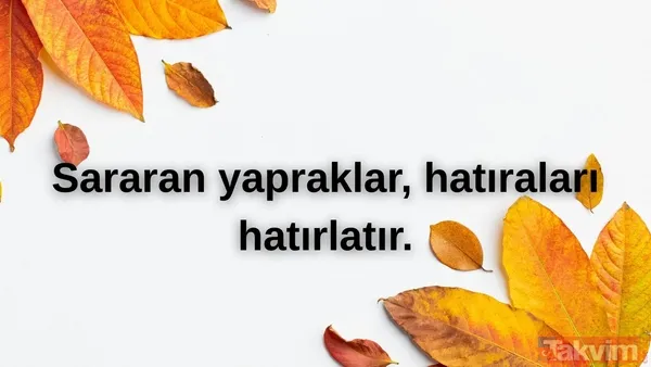🌾Sararan Yapraklar, Hatıraları Hatırlatır.