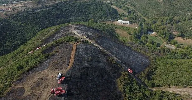 Kocaeli’de ormanlık alanda yangın! 4 hektar alan küle döndü