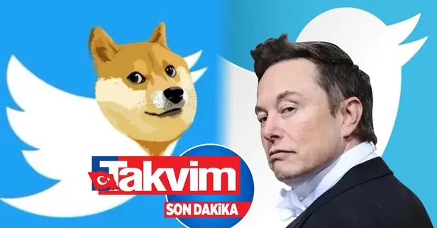 edis gay mi macaristan otobüs bileti