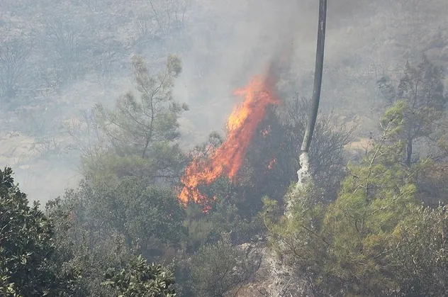 Bodrum'da büyük yangın!