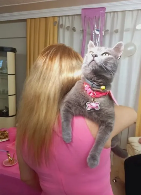 gorulmemis-dogum-gunu-kedi-icin-parti-duzenlediler-1640351116375.jpg