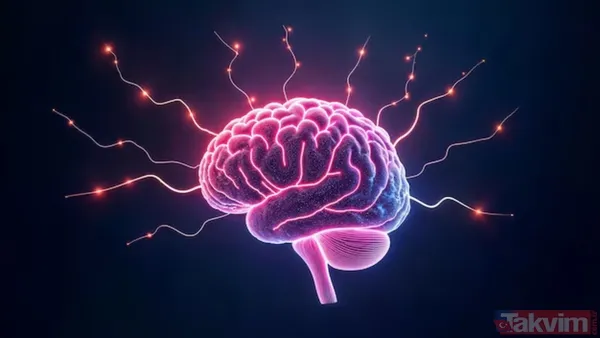 Daha Önceki Araştırmalar, Doymuş Yağ Oranı Yüksek Öğünlerin Vücutta Serbest Radikalleri Artırdığını Ve Kan Damarlarının Gevşemesine Yardımcı Olan Nitrik Oksit...