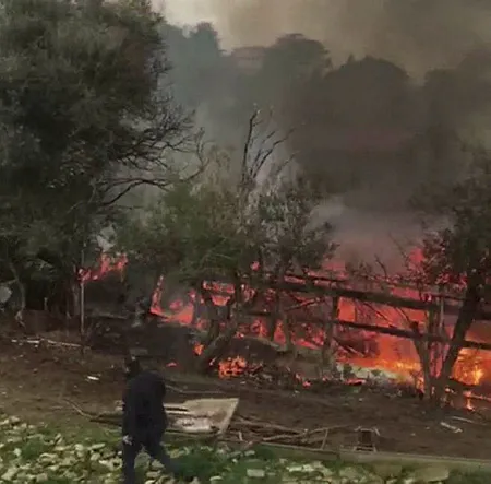Son dakika: Büyükada'da orman yangını!-1