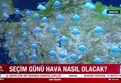 Seçim günü hava nasıl olacak? | Video