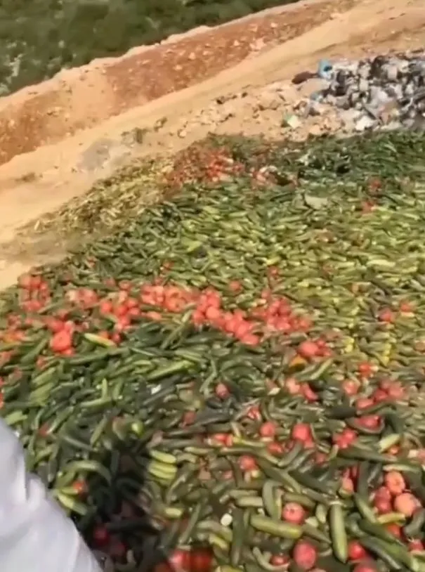 antalya-gazipasada-tonlarca-sebze-bos-arazide-bulundu-bu-nasil-bir-insanliktir-1654547255920.jpeg Antalya Gazipaşa'da tonlarca sebze boş arazide bulundu: "Bu nasıl bir insanlıktır?"-2