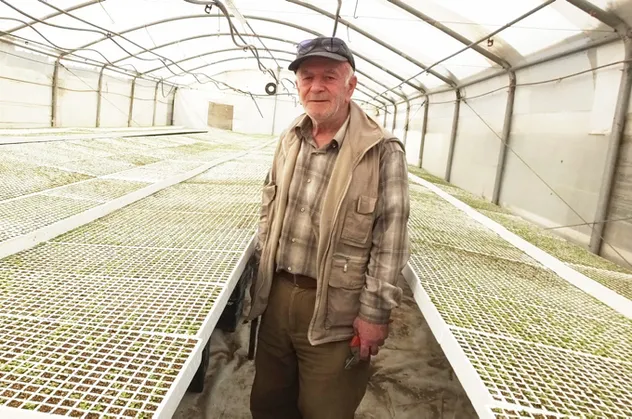 Emekli albay ABD'ye 1 ton kurutulmuş şeker otu ihraç edecek
