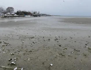 İstanbul ve Tekirdağ’da deniz çekildi