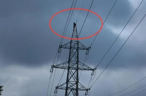 samsunda-gorenler-gozlerine-inanamadi-sevgilisine-kizdi-40-metre-yuksekliginde-154-bin-voltluk-yuksek-gerilim-1695919665115.jpeg Samsun'da görenler gözlerine inanamadı! Sevgilisine kızdı 40 metre yüksekliğinde 154 bin voltluk yüksek gerilim hattı direğine çıktı-7