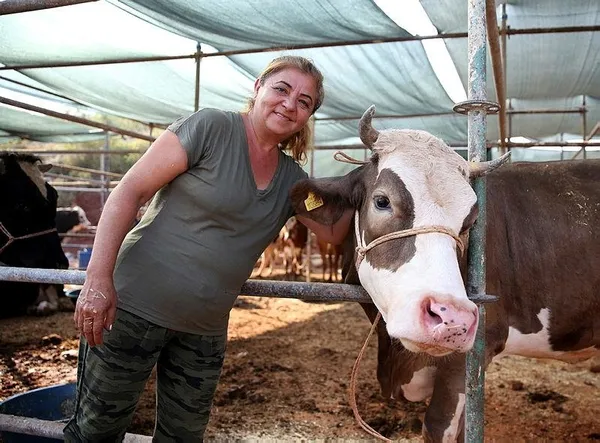 Almanya'dan geldi patron oldu: Fadime Kroll, 350 kuzu ve 50 büyükbaş hayvanla 'Hanım Ağa'-3