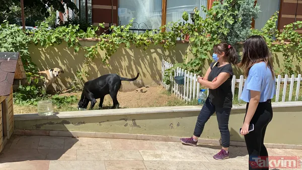 'Daire 16' sözleriyle gündem oldu! Köpük yerinde kalacak - 6