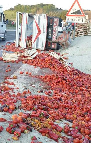 Kamyonet devrildi! Tonlarca domates yola saçıldı