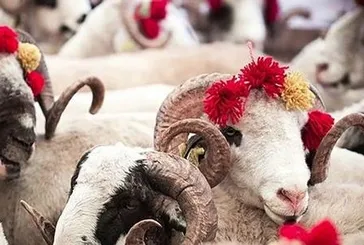 Vekaletle kurban 5 bin 950 TL