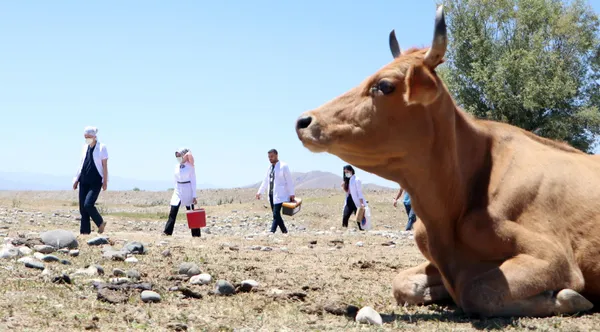 son-dakika-turkiye-her-gun-milyonlari-asiliyor-saglik-calisanlari-erzurumda-cobanlarin-ayagina-gitti-1624004154670.jpg SON DAKİKA: Türkiye her gün milyonları aşılıyor! Sağlık çalışanları Erzurum'da çobanların ayağına gitti-3
